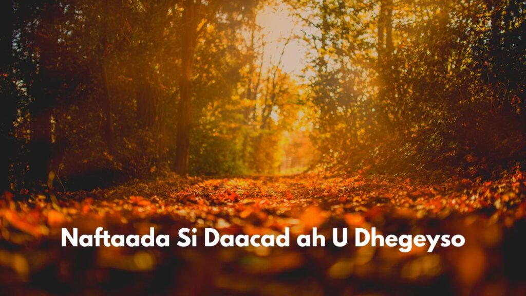 Naftaada Si Daacad ah U Dhegeyso